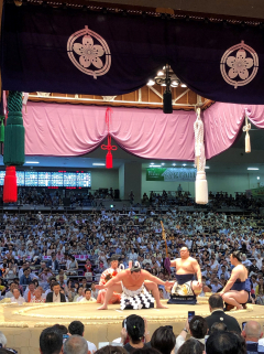 白鵬土俵入り