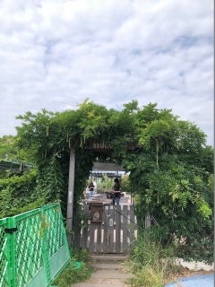 デジキュー入口