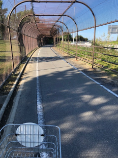 サイクリングコース
