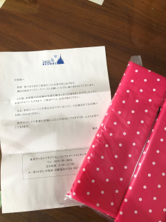 ディズニーに忘れた折り畳みクッション